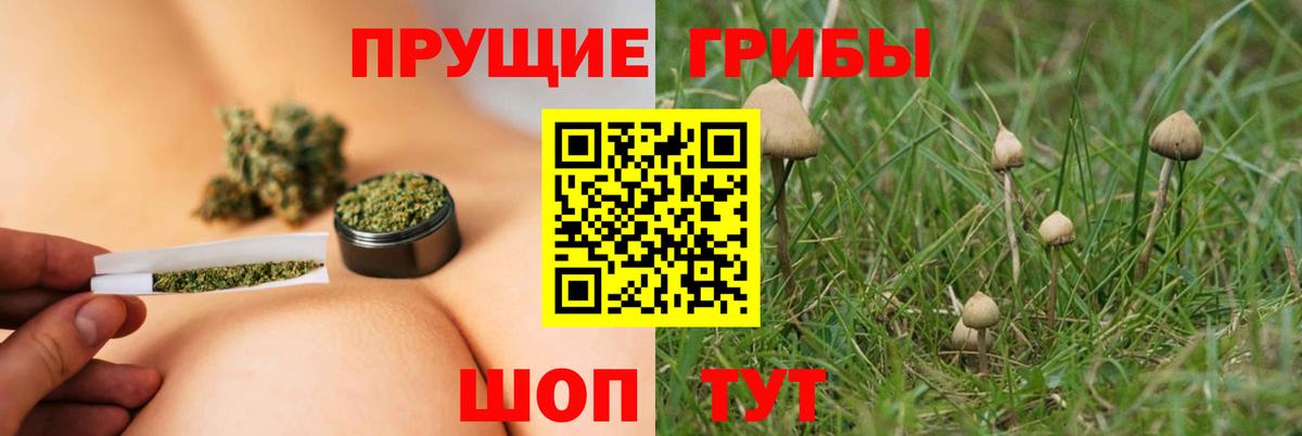 Псилоцибиновые грибы MAGIC MUSHROOMS Качканар